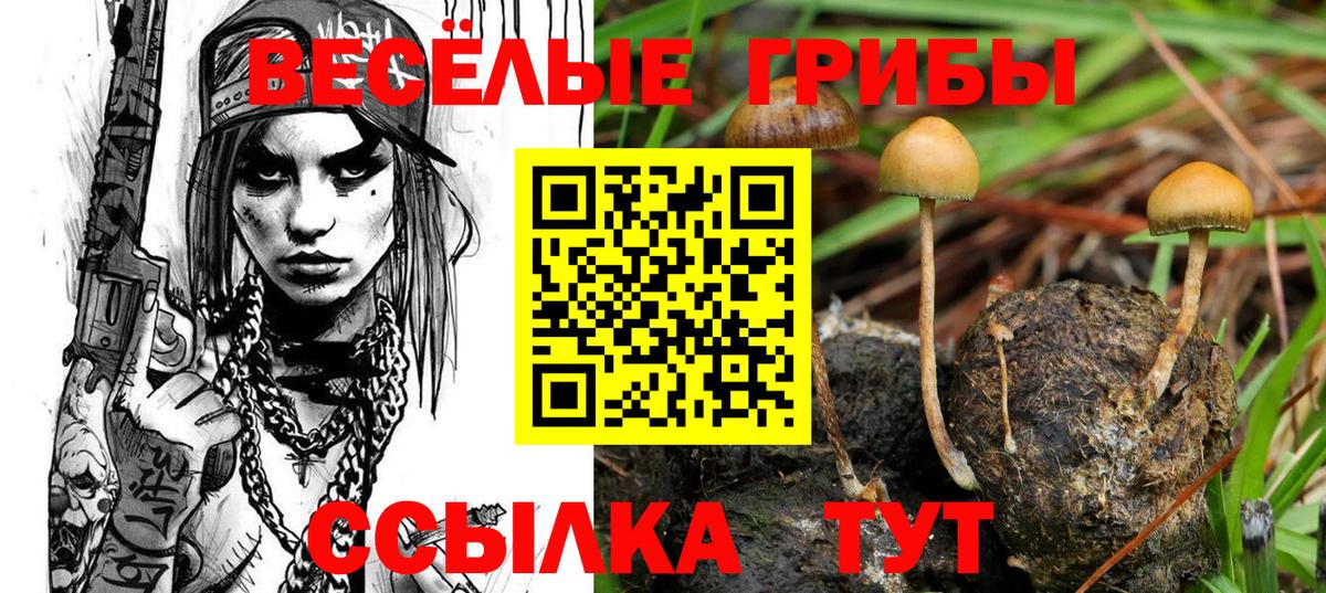 Старая Купавна  Галлюциногенные грибы MAGIC MUSHROOMS  Вход с VPN 